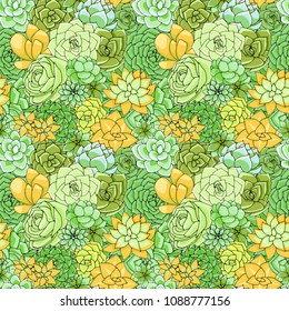 Vector succulents seamless pattern. Succulent ornament.  Natural composition. Colored succulents and cactus floral print. Hand drawn art work.