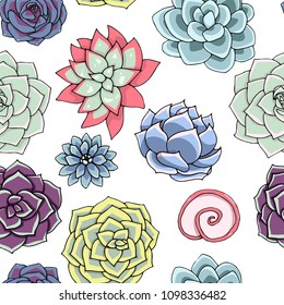 Vector succulents seamless pattern. Succulent ornament.  Natural composition. Colored succulents and cactus floral print. Hand drawn art work.