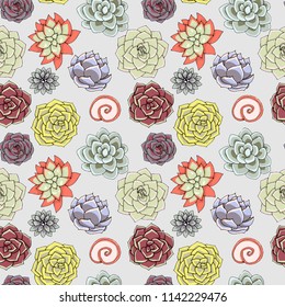 Vector succulents seamless pattern. Succulent ornament.  Natural composition. Colored succulents and cactus floral print. Hand drawn art work.