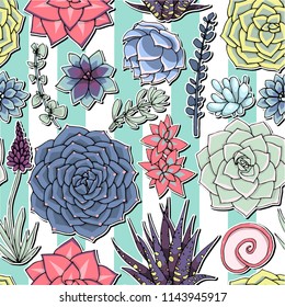 Vector succulents seamless pattern. Succulent ornament.  Natural composition. Colored succulents and cactus floral print. Hand drawn art work.