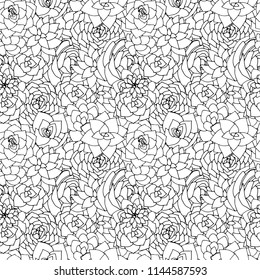 Vector succulents seamless pattern. Succulent black and white ornament.  Natural monochrome composition.  succulents and cactus floral print. Hand drawn art work.