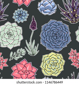 Vector succulents seamless pattern. Succulent ornament.  Natural composition. Colored succulents and cactus floral print. Hand drawn art work.