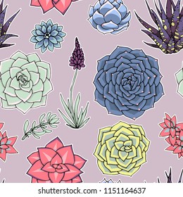 Vector succulents seamless pattern. Succulent ornament.  Natural composition. Colored succulents and cactus floral print. Hand drawn art work.