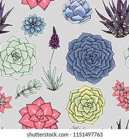 Vector succulents seamless pattern. Succulent ornament.  Natural composition. Colored succulents and cactus floral print. Hand drawn art work.