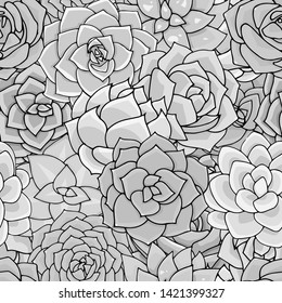 Vector succulents seamless pattern. Succulent ornament. Black and white monochrome floral pattern with beautiful plants. Doodle art illustration.