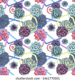 Vector succulents seamless pattern. Succulent ornament. Natural composition with geometric ornament . Colored succulents and cactus floral print. Hand drawn art work.