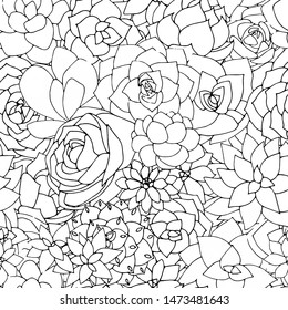 Vector succulents seamless pattern. Succulent ornament. Black and white monochrome floral pattern with beautiful plants. Doodle art illustration.