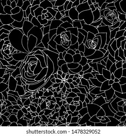 Vector succulents seamless pattern. Succulent ornament. Black and white monochrome floral pattern with beautiful plants. Doodle art illustration.