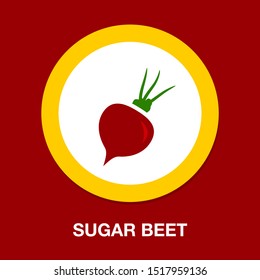 vector sugar Beet illustration isolated - healthy vegetable, nutrition icon - veggie food, vector beetroot