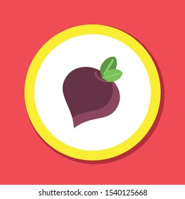 vector sugar Beet illustration isolated - healthy vegetable, nutrition icon - veggie food, vector beetroot