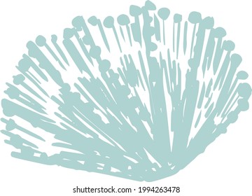 Vector summer art of blue seashells clam shells