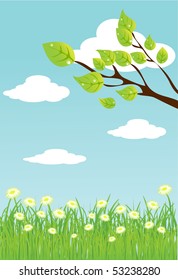 vector summer background