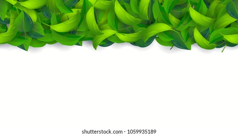 Vector summer background with green leaves horizontal seamless pattern or long banner template