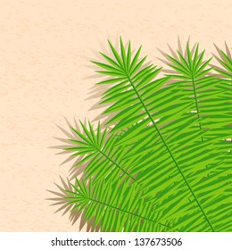 Vector summer background illustration with beach and palm leaves