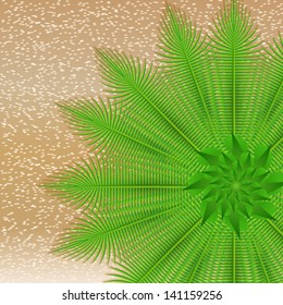 Vector summer background illustration with beach and palm leaves