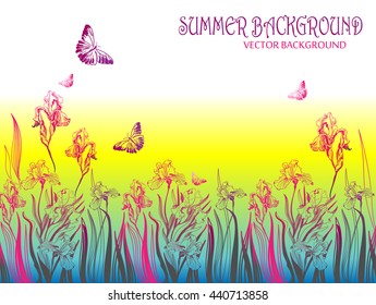 Vector summer background with irises and butterflys. Template for invitations, cards, posters, banners.