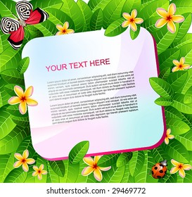 vector summer background with place fore your text