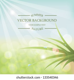 Vector summer background with sunlight. Green grass with dew drops