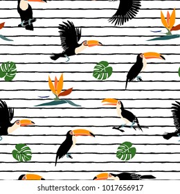 Vector summer background. Toucans on striped background. Summer print, paper or textile design. Element of seamless pattern.