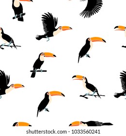 Vector summer background. Toucans . Summer print, paper or textile design. Element of seamless pattern.
