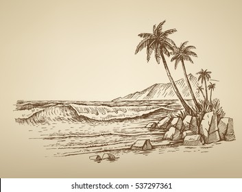 Vector Summer Beach With Palm Trees Illustration