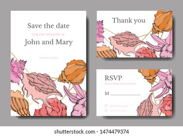 Vector Summer beach seashell tropical elements