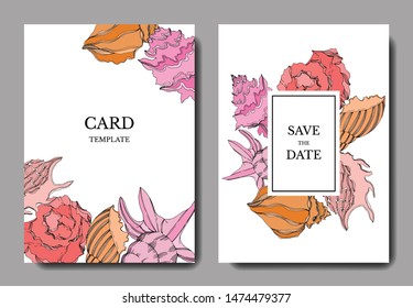 Vector Summer beach seashell tropical elements