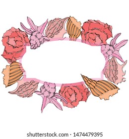 Vector Summer beach seashell tropical elements