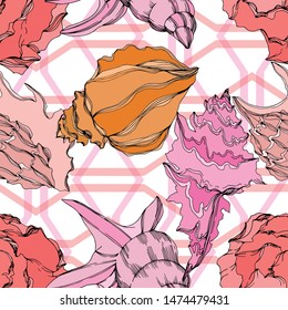 Vector Summer beach seashell tropical elements