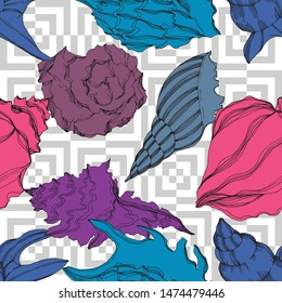 Vector Summer beach seashell tropical elements