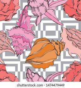 Vector Summer beach seashell tropical elements