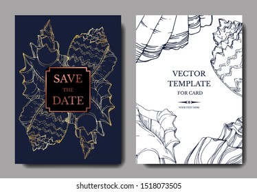 Vector Summer beach seashell tropical elements. Black and white engraved ink art. Wedding background card decorative border. Thank you, rsvp, invitation elegant card illustration graphic set banner.