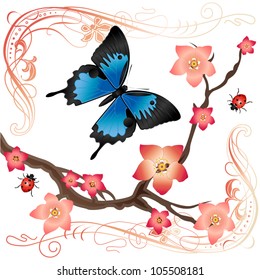 Vector of summer card with butterfly (papilio ulysses), sakura branch and ladybugs