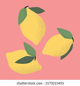 Vector summer citrus illustration with lemons and leaves.Bright vintage illustration with lemons vegan posters for grocery advertising social media cover