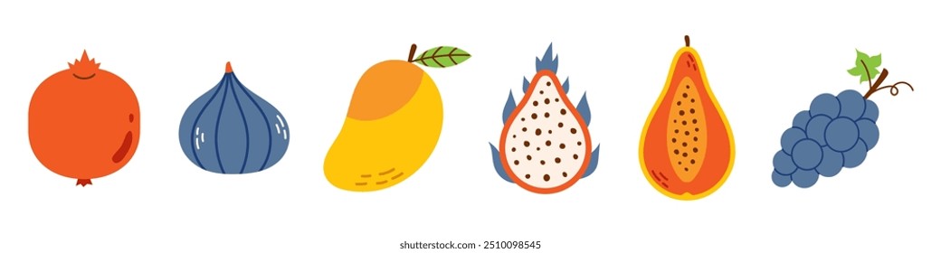 Vector summer cute exotic fruits in flat design. Vector set of tropical fruits. Healthy sweet food. Collection of banana, pomegranate, fig, papaya, dragon fruit, grape and mango.