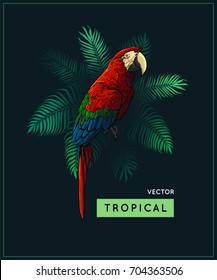 Vector summer design and vintage style jungle illustration with tropical palm tree and parrot - exotic bird isolated on dark background, closeup