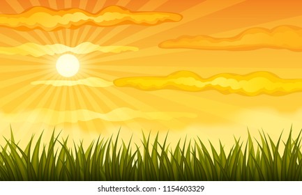 Vector summer farm field and cloudy evening background.