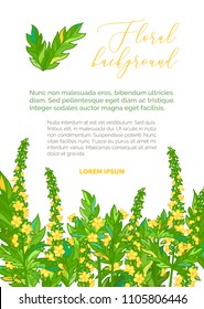 Vector summer floral background. Tiny yellow flowers of agrimony and bright pinnate leaves. Healing herbs on white background. There is copy space for your text on the top.