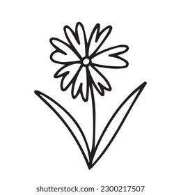 Vector summer flower illustration. Cute daisy flower sketch