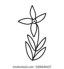 Vector summer flower illustration. Cute daisy flower sketch