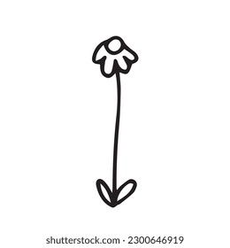 Ilustración de flores de verano vectorial. Esbozo de flores de margarita