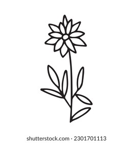 Vector summer flower illustration. Cute daisy flower sketch