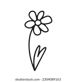 Vector summer flower illustration. Cute daisy flower sketch