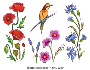 Vector summer flowers set