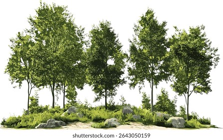 Vector summer forest greenery landscape transparent background, summer nature forest cut out, green trees, summer scenery, nature landscape, forest