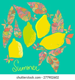 Vector summer fresh lemon and lime illustration 