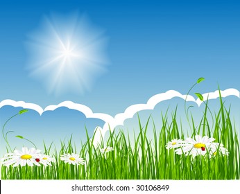 vector summer fresh meadow. No mesh used
