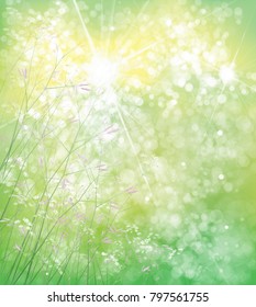 Vector summer,  green,  nature  background,  flowers  on bokeh green background.