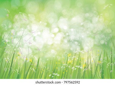 Vector summer,  green,  nature  background, grass and   flowers border on bokeh green background.