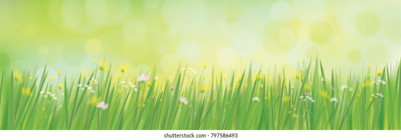 Vector summer,  green,  nature  background, grass and   flowers border on bokeh green background.